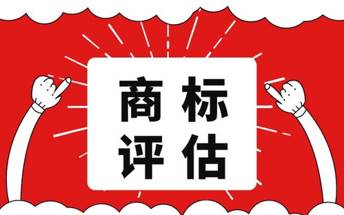 知识产权评估 理论基石与技术转让的实践桥梁